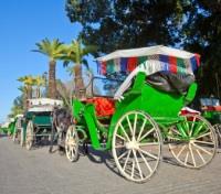 Horse Drawn Carriage
